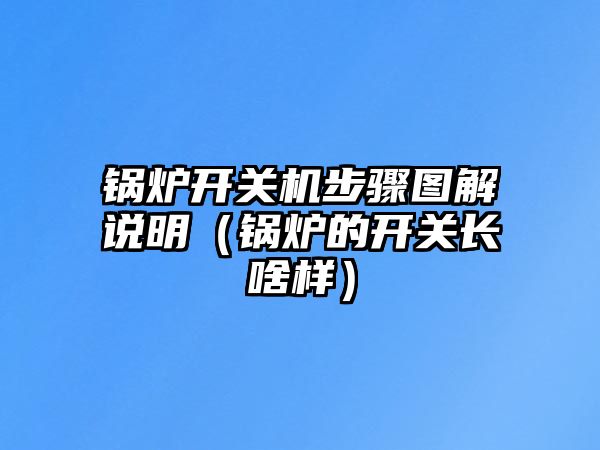 鍋爐開關機步驟圖解說明（鍋爐的開關長啥樣）