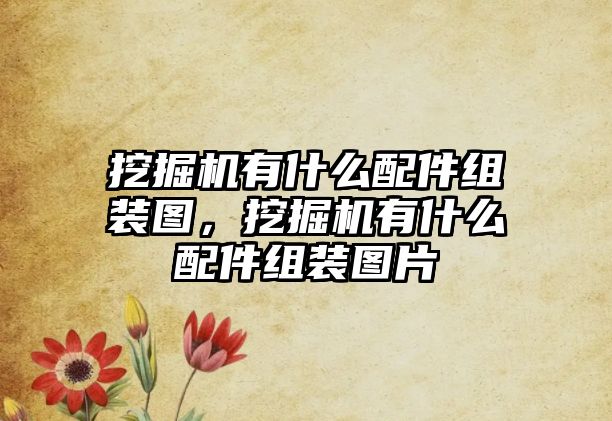 挖掘機有什么配件組裝圖，挖掘機有什么配件組裝圖片