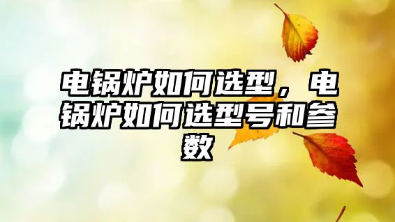 電鍋爐如何選型，電鍋爐如何選型號和參數