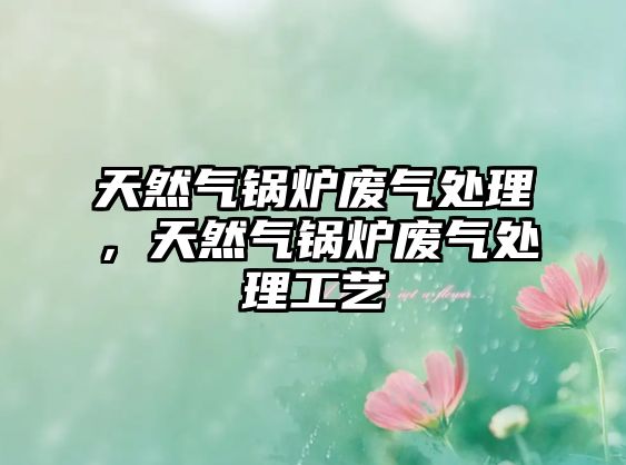 天然氣鍋爐廢氣處理，天然氣鍋爐廢氣處理工藝