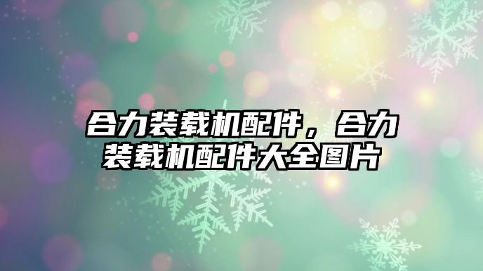 合力裝載機配件，合力裝載機配件大全圖片