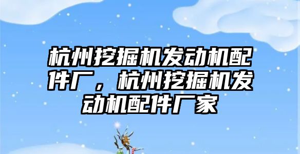 杭州挖掘機發動機配件廠，杭州挖掘機發動機配件廠家