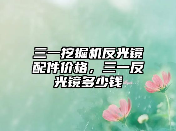 三一挖掘機反光鏡配件價格，三一反光鏡多少錢