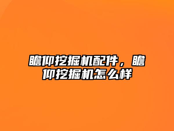 瞻仰挖掘機配件，瞻仰挖掘機怎么樣