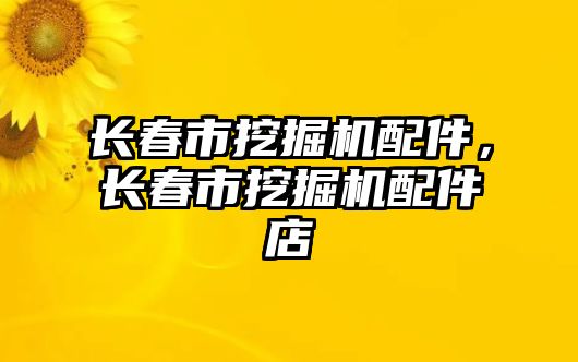 長春市挖掘機配件，長春市挖掘機配件店