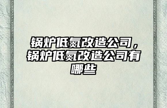 鍋爐低氮改造公司，鍋爐低氮改造公司有哪些