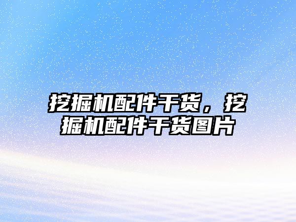 挖掘機配件干貨，挖掘機配件干貨圖片