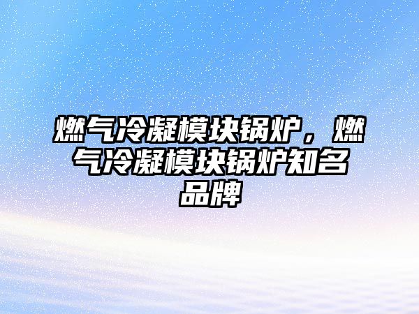 燃氣冷凝模塊鍋爐，燃氣冷凝模塊鍋爐知名品牌