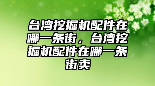 臺灣挖掘機(jī)配件在哪一條街，臺灣挖掘機(jī)配件在哪一條街賣