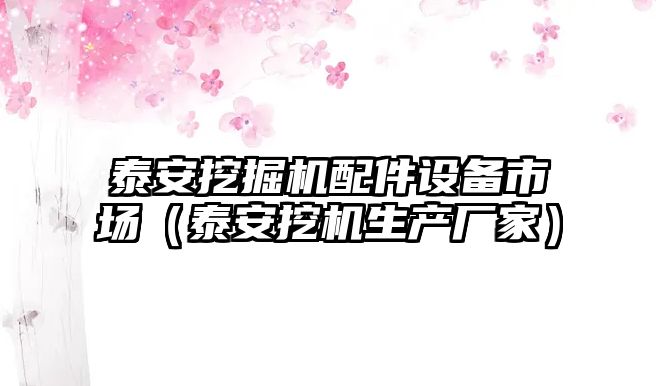 泰安挖掘機配件設備市場（泰安挖機生產廠家）