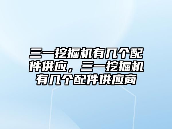 三一挖掘機有幾個配件供應，三一挖掘機有幾個配件供應商