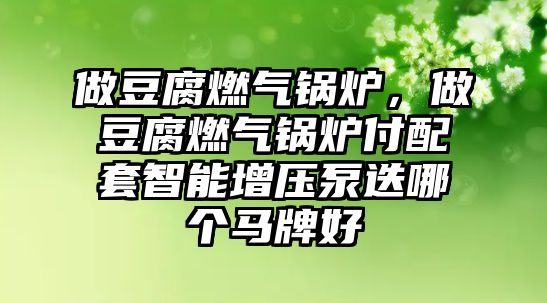 做豆腐燃氣鍋爐，做豆腐燃氣鍋爐付配套智能增壓泵迭哪個馬牌好