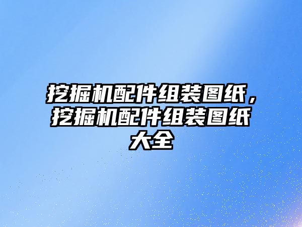 挖掘機配件組裝圖紙，挖掘機配件組裝圖紙大全