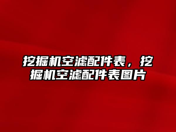 挖掘機空濾配件表，挖掘機空濾配件表圖片