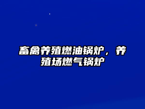 畜禽養(yǎng)殖燃油鍋爐，養(yǎng)殖場(chǎng)燃?xì)忮仩t