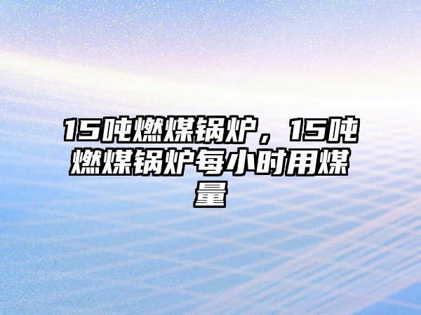 15噸燃煤鍋爐，15噸燃煤鍋爐每小時用煤量