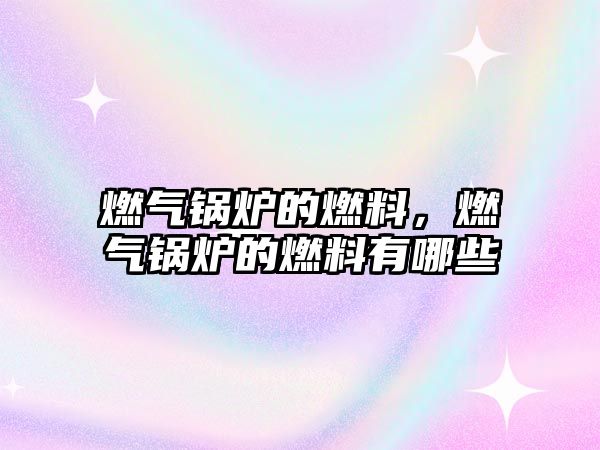 燃?xì)忮仩t的燃料，燃?xì)忮仩t的燃料有哪些