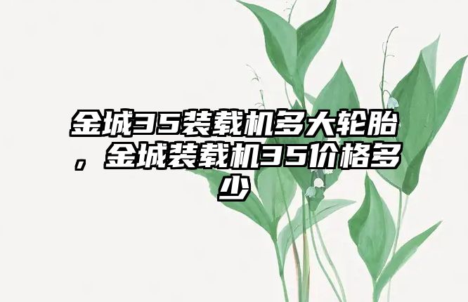 金城35裝載機多大輪胎，金城裝載機35價格多少