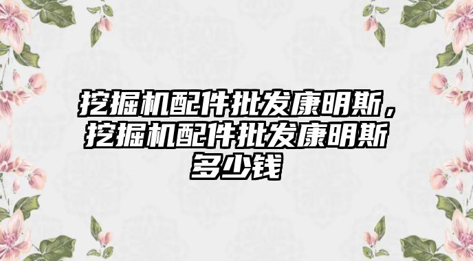 挖掘機配件批發康明斯，挖掘機配件批發康明斯多少錢