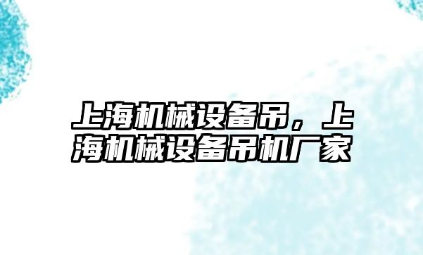 上海機械設備吊，上海機械設備吊機廠家