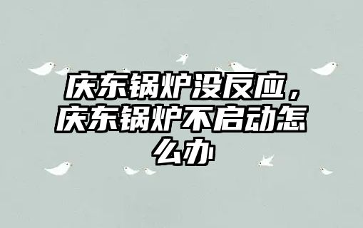 慶東鍋爐沒反應(yīng)，慶東鍋爐不啟動怎么辦