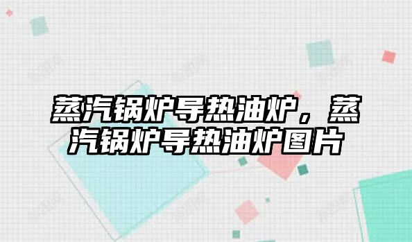 蒸汽鍋爐導熱油爐，蒸汽鍋爐導熱油爐圖片