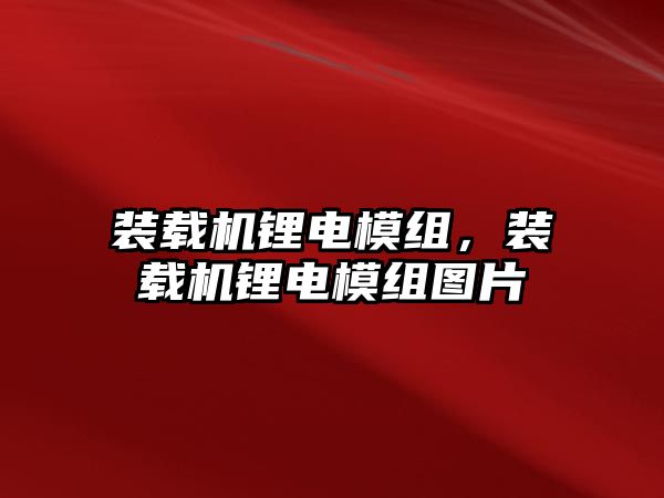 裝載機鋰電模組，裝載機鋰電模組圖片