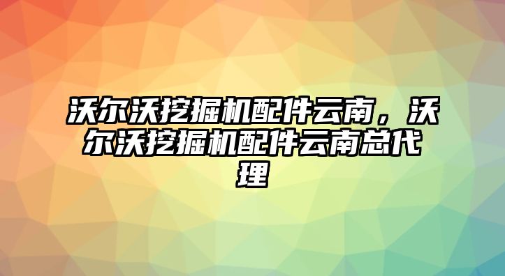 沃爾沃挖掘機配件云南，沃爾沃挖掘機配件云南總代理