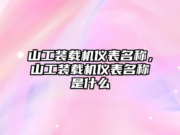 山工裝載機儀表名稱，山工裝載機儀表名稱是什么