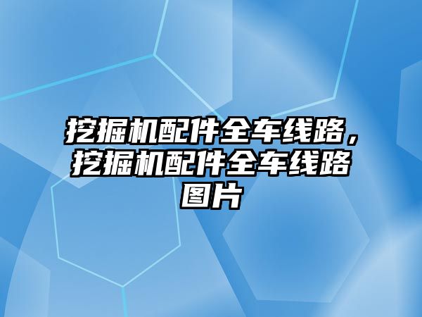 挖掘機配件全車線路，挖掘機配件全車線路圖片