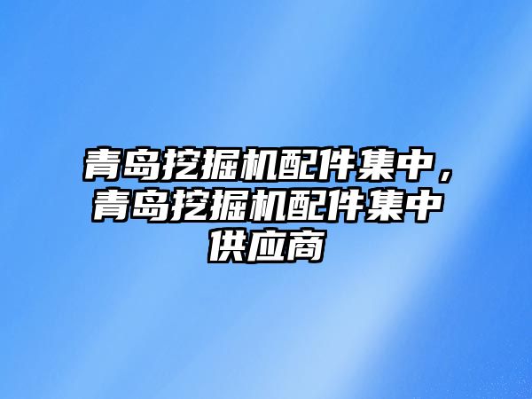 青島挖掘機配件集中，青島挖掘機配件集中供應商