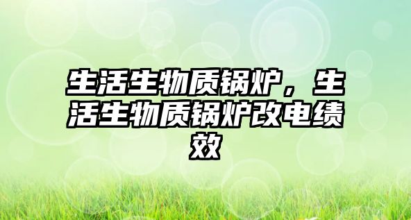 生活生物質鍋爐，生活生物質鍋爐改電績效