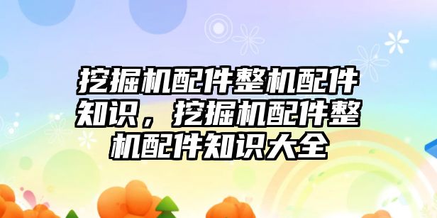 挖掘機配件整機配件知識，挖掘機配件整機配件知識大全