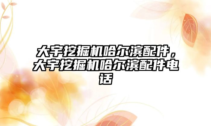 大宇挖掘機哈爾濱配件，大宇挖掘機哈爾濱配件電話