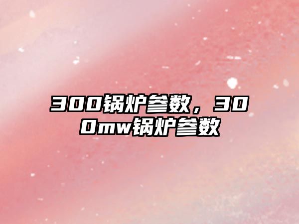 300鍋爐參數，300mw鍋爐參數