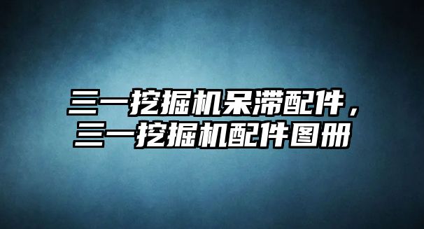 三一挖掘機呆滯配件，三一挖掘機配件圖冊