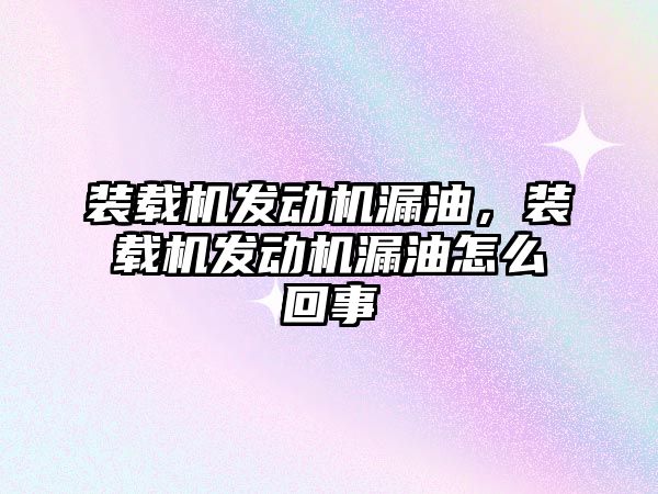 裝載機發(fā)動機漏油，裝載機發(fā)動機漏油怎么回事