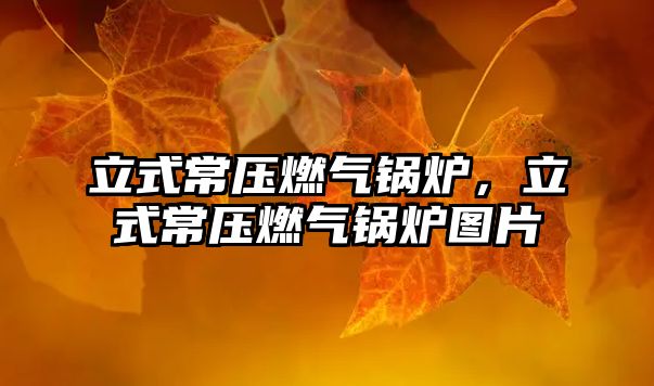 立式常壓燃?xì)忮仩t，立式常壓燃?xì)忮仩t圖片