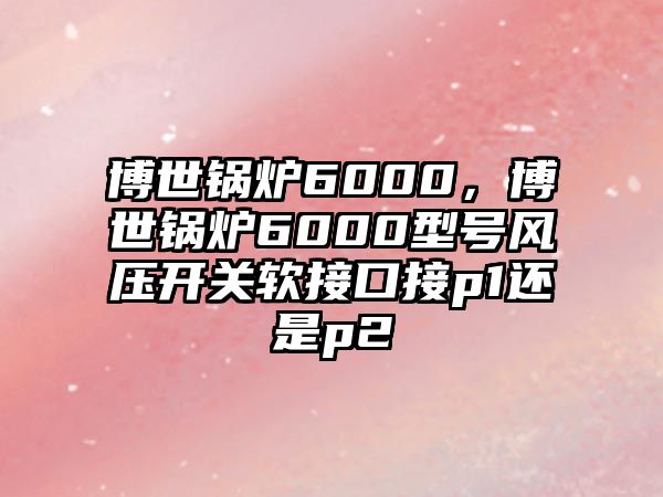 博世鍋爐6000，博世鍋爐6000型號(hào)風(fēng)壓開關(guān)軟接口接p1還是p2