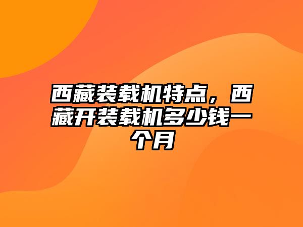 西藏裝載機特點，西藏開裝載機多少錢一個月