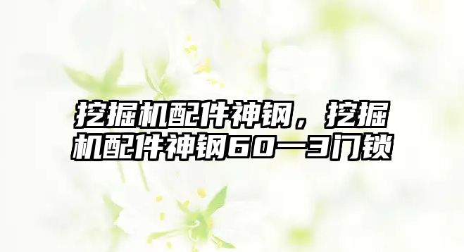 挖掘機(jī)配件神鋼，挖掘機(jī)配件神鋼60一3門鎖