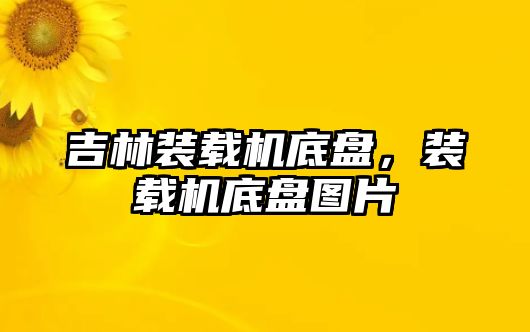 吉林裝載機底盤，裝載機底盤圖片