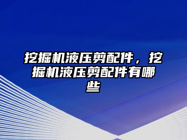 挖掘機液壓剪配件，挖掘機液壓剪配件有哪些