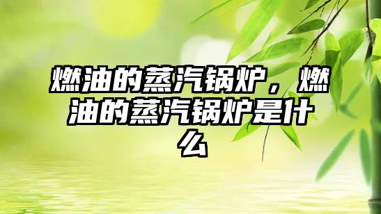 燃油的蒸汽鍋爐，燃油的蒸汽鍋爐是什么