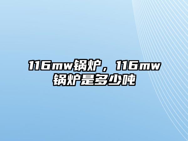 116mw鍋爐，116mw鍋爐是多少噸