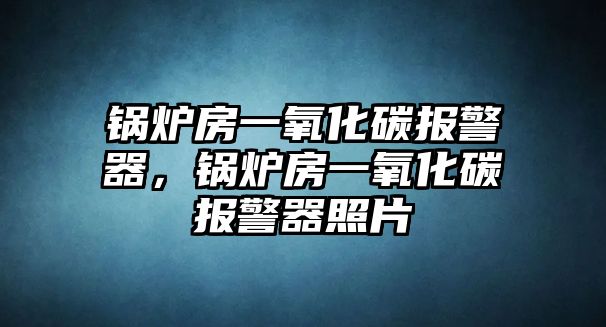 鍋爐房一氧化碳報警器，鍋爐房一氧化碳報警器照片