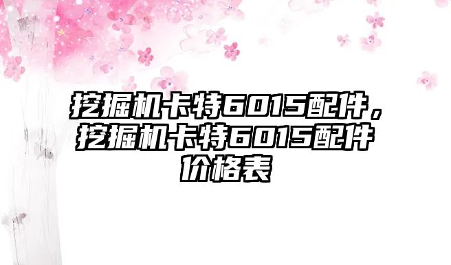 挖掘機卡特6015配件，挖掘機卡特6015配件價格表