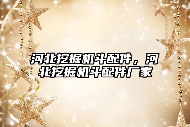 河北挖掘機斗配件，河北挖掘機斗配件廠家