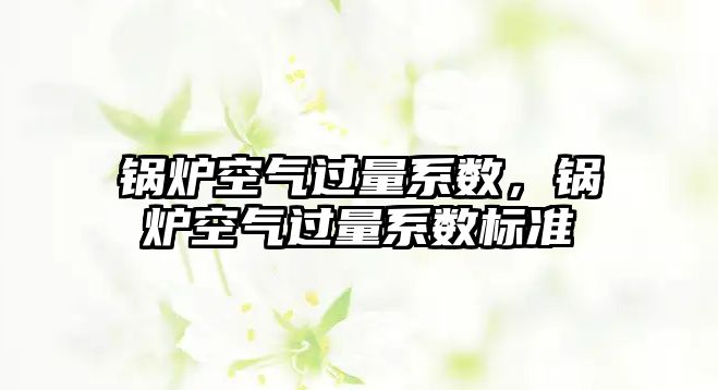 鍋爐空氣過量系數，鍋爐空氣過量系數標準