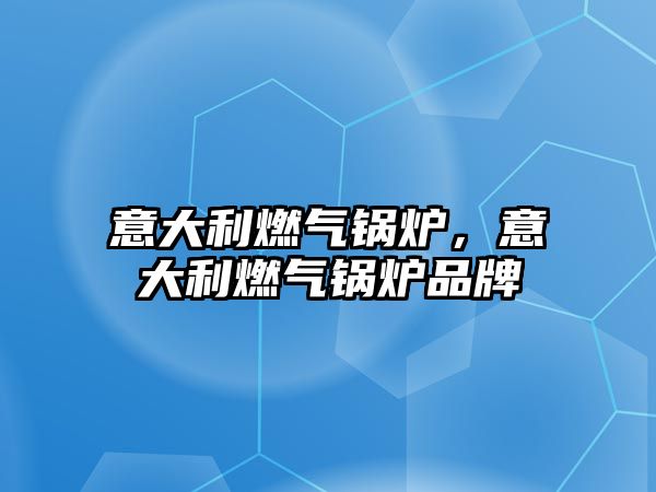 意大利燃?xì)忮仩t，意大利燃?xì)忮仩t品牌